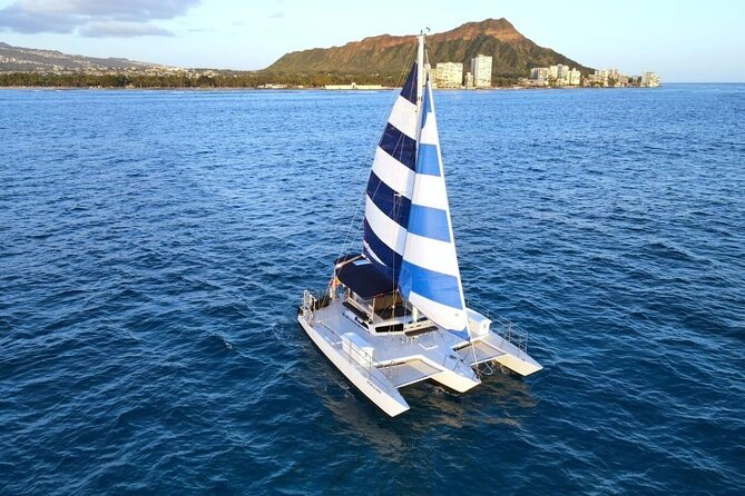 2 Hour Waikiki Whale Watching in Honolulu - Pricing and Availability