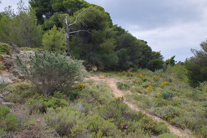 2-Hours 4X4 Tour in Spetses Safari - Highlights of the Safari