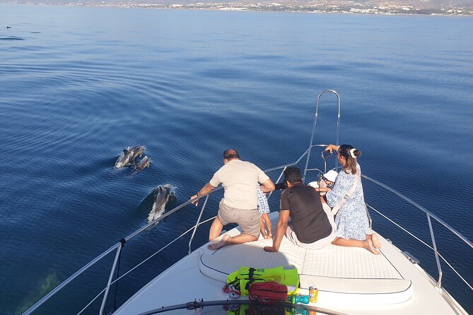 2 Hours Dolphin Watching in Marbella - Encountering the Majestic Marine Mammals