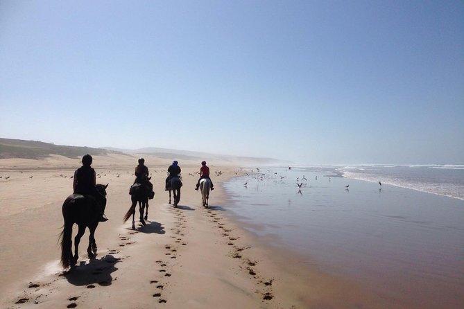 2 Hours Horse Ride Beach and Dunes in Essaouira Morocco - Guide and Safety Measures