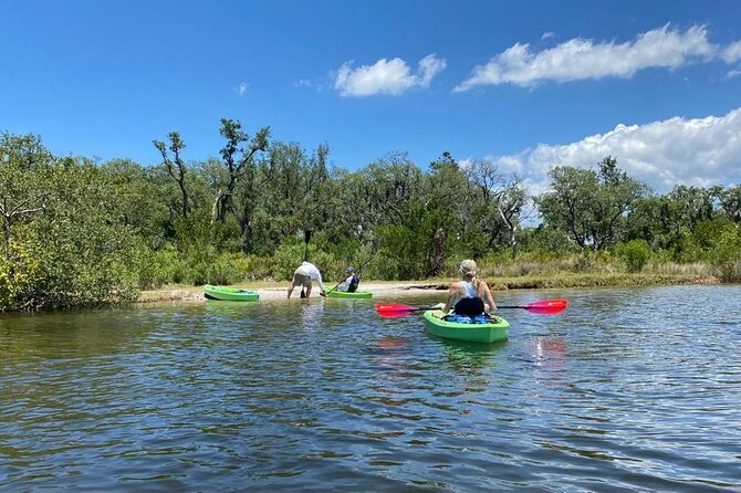 2 Hours Kayak Eco Tour in Tarpon Springs - Booking Information