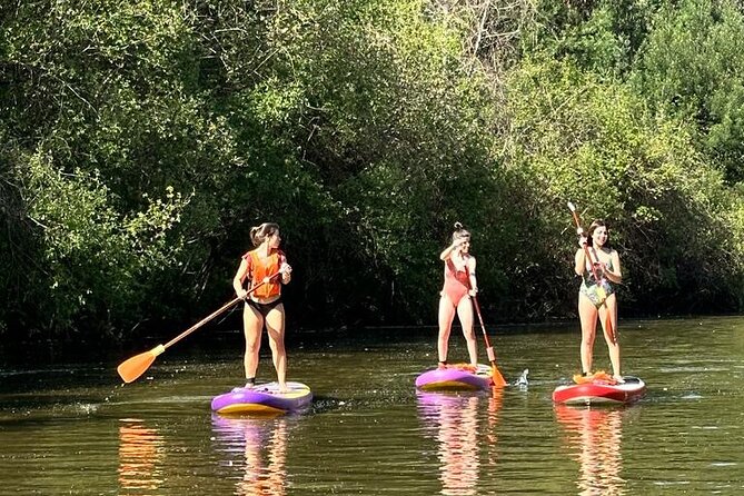 2 Hours SUP Activity on Arda River - Paddling Through Portos Scenery