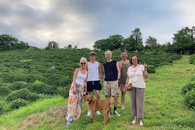 2 Hours Tea House and Tea Garden Trip in Ozurgeti Georgia - Included in the Tour