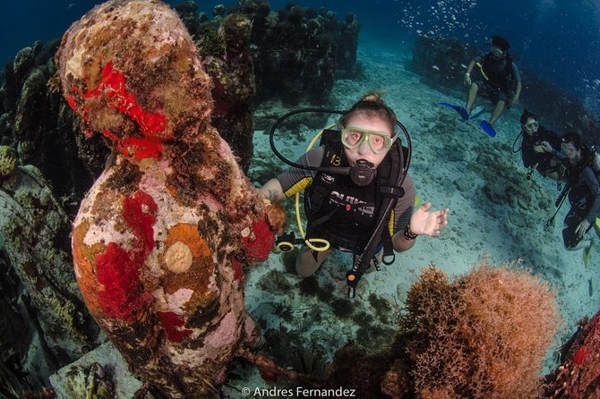 2 Tank Dives MUSA and Manchones Reef (Certified Divers) - Tour Details and Inclusions