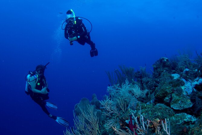 2-Tank Scuba Boat Trip in World-Class Sites @ Copamarina - Meeting Point and Pickup