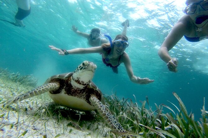 2-Tank Scuba Diving Ambergris Caye - Encounter Diverse Marine Life