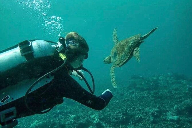 2 Tank Shore Dive at Sea Turtle Cove - Scuba Diving Requirements