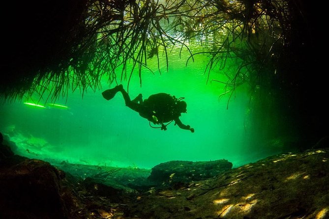 2 Tanks Cenote Diving Adventure in Tulum for Certified Divers - Tour Details and Inclusions