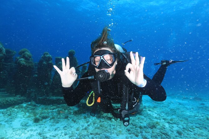 2 Tanks Dives Cancun Underwater Museum for Certified Divers - Inclusions