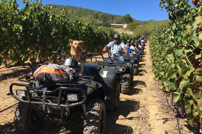 2h – Nature Quad Trail - Pricing and Booking Details