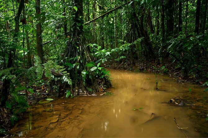 3 Day Amazon Jungle at Refugio Amazonas Lodge - Getting to the Jungle