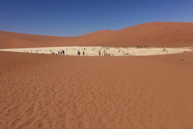 3 Day Camping Safari at Sossusvlei - Itinerary Highlights