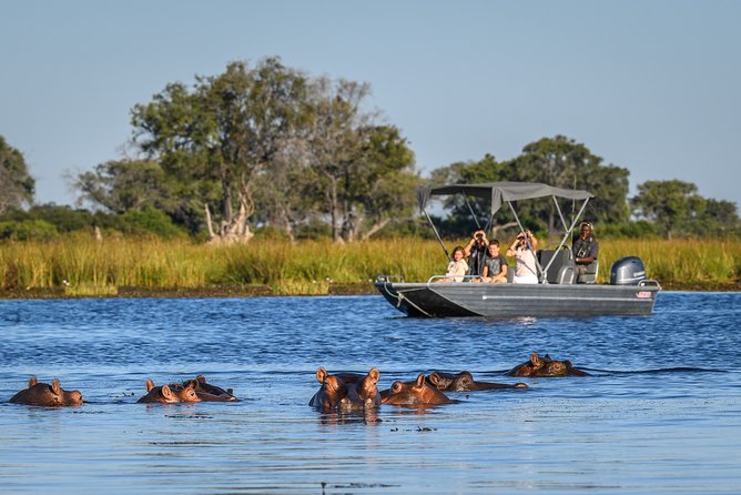 3-Day Chobe National Park Camping Safari From Victoria Falls - Pickup and Departure Details