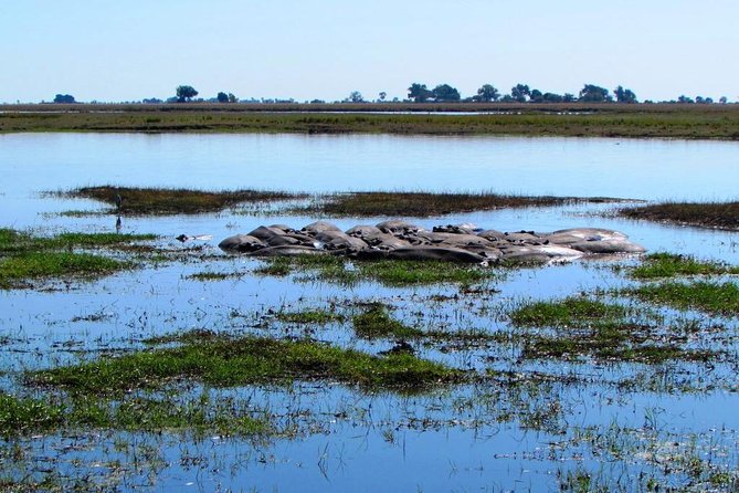 3 Day Chobe National Park Camping Safari - Inclusions