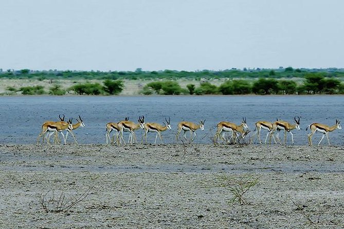 3 Day Chobe National Park Camping Tour - Customer Feedback