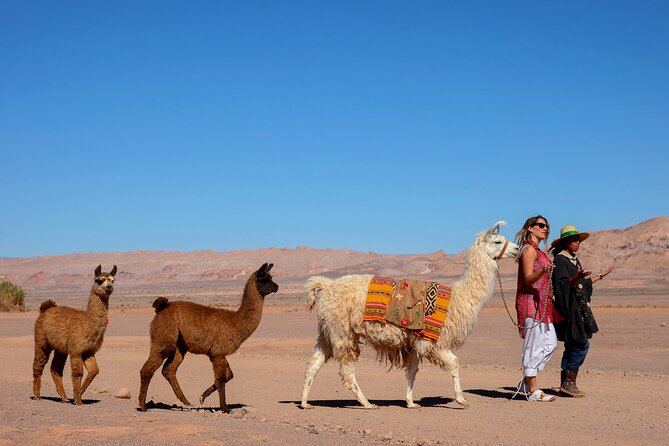 3-Day Exploring San Pedro De Atacama - Daily Tour Itinerary