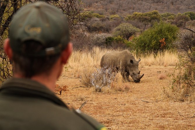 3 Day Garden Route Highlights and Safari With Private Transfers - Adventure Activities Included
