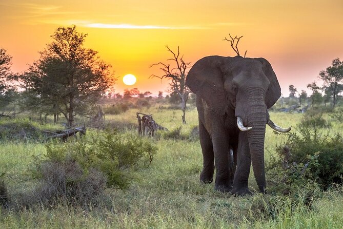 3 Day Kruger National Park Safari & Panorama Route - Meeting and Pickup Details