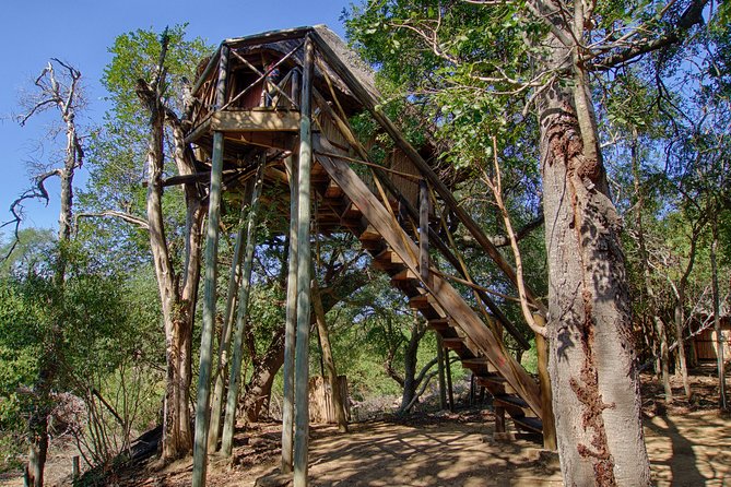 3 Day Lodge/Treehouse Kruger National Park Safari - Safari Game Drives