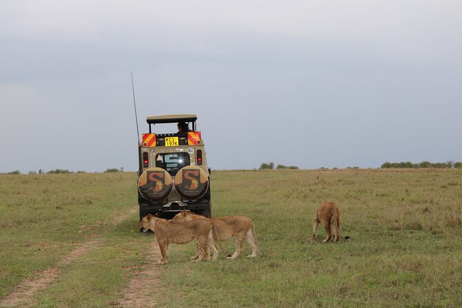 3-Day Maasai Mara Sharing Safari in a 4x4 Land Cruiser Jeep - Inclusions of the Tour