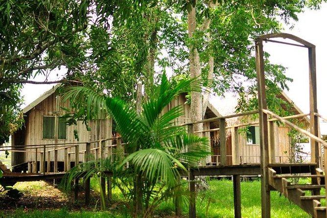 3-Day Manaus Amazon Jungle Adventure - Inclusions