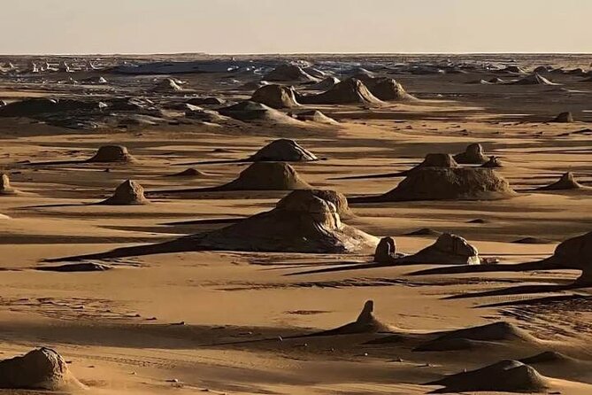 3-Day Private Camping Tour of White Desert With Cairo Pick up - Pickup and Start Time