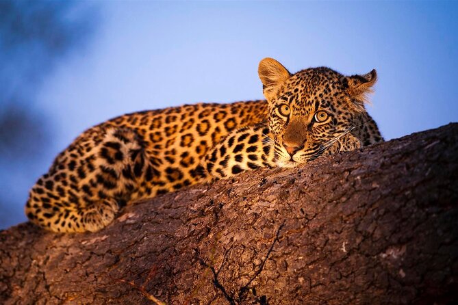 3-Day Safari Tour in Two National Parks - Daily Itinerary Breakdown
