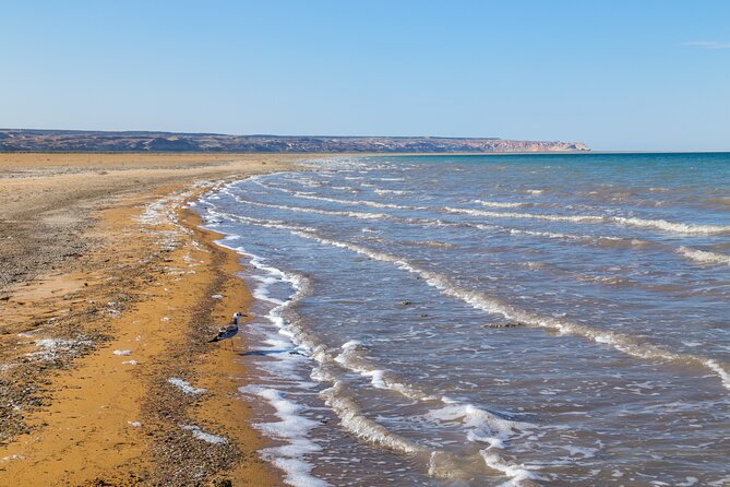 3-Day Small Group Jeep Adventure Tour to Aral Sea & Usturt Plateau in Nukus - Accommodation Details