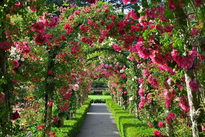 3-Day Tour to Vancouver Island W/ YVR Airport Pickup (Eng&Mandarin) - Inclusions