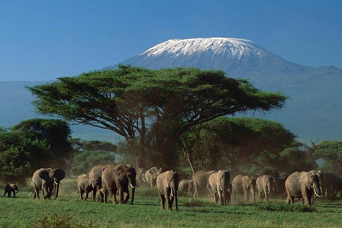 3 Days Amboseli, Land of Kilimanjaro - Accommodation Options