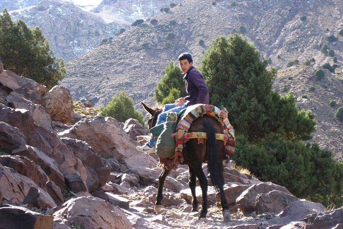 3 Days Berber Villages Hike (Atlas Mountains) - Health and Safety