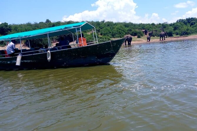 3 Days Best of Queen Elizabeth National Park Wildlife Tour - Meeting and Pickup
