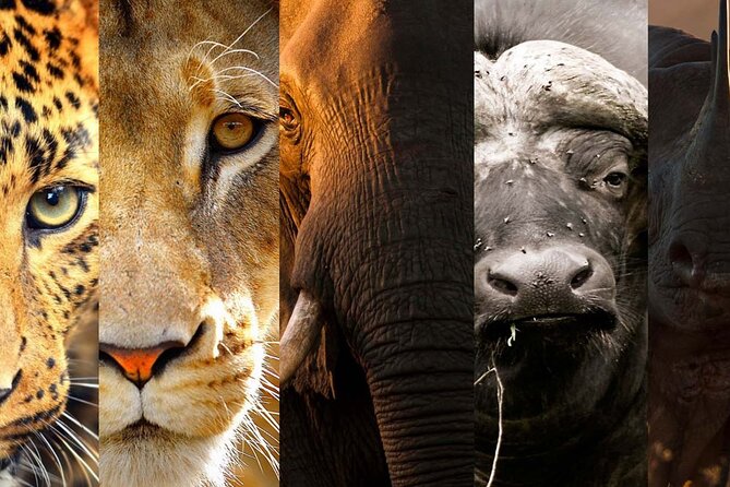 3 Days Big Five Unforgetable Lodging Tanzania Safari - Inclusions and Amenities