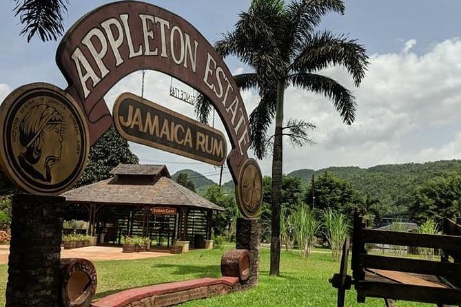 3-Days Jamaica Sightseeing Tour of Treasure Beach and Negril Departing From Kingston - Discovering Appleton Estate Rum Tour