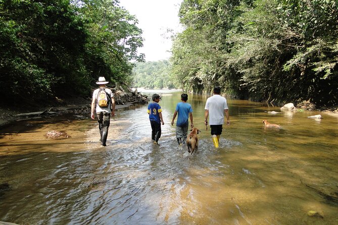 3 Days Jungle Tour Expedition Amazonia in Ecuador Rainforest - Cultural Immersion Opportunities