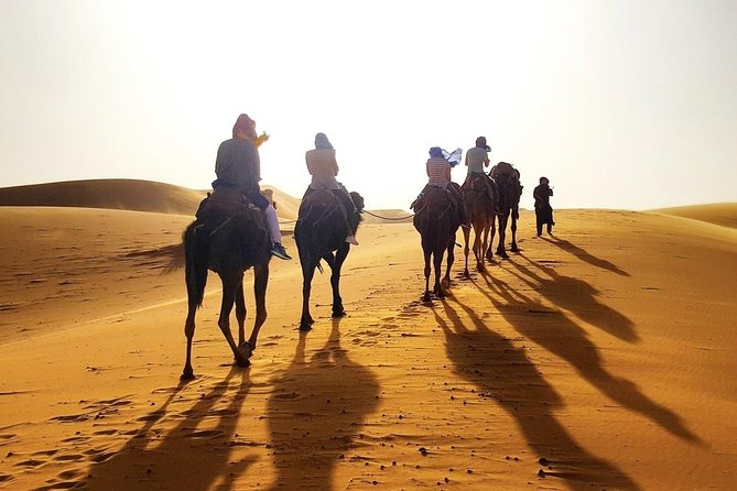 3 Days Luxury Desert Tour From Marrakesh Morocco - Camel Ride Experience