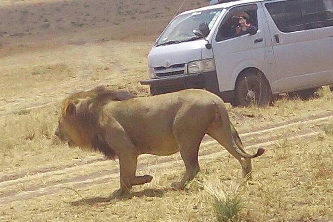 3 Days Maasai Mara Budget Group Safari - Itinerary Highlights
