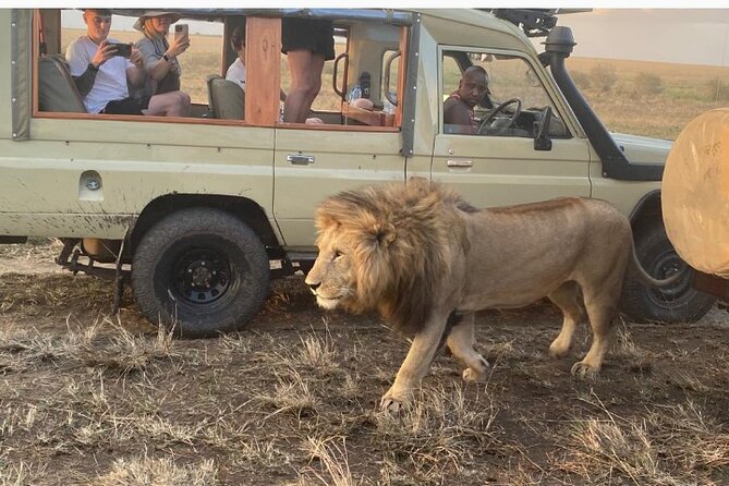3 Days Masai Mara Jeep Safari - Pricing Details