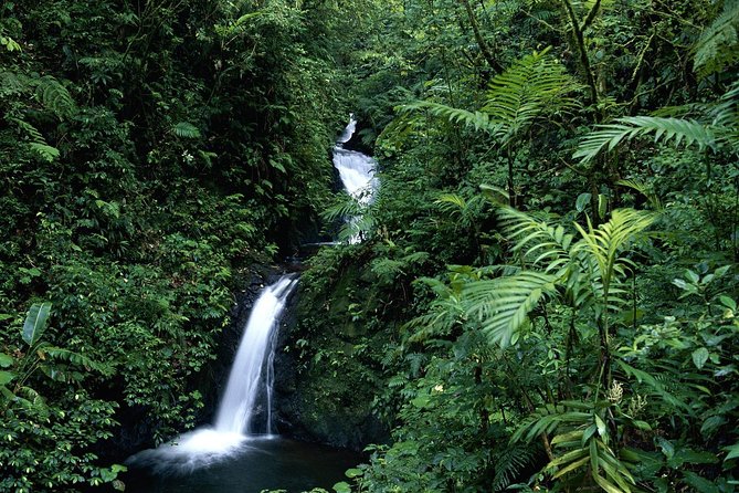 3 Days Mashpi Cloud Forest - Daily Itinerary and Activities