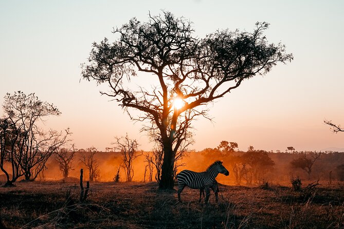3 Days Private Mikumi National Park Wildlife Encounter Safari Tour - Daily Safari Itinerary