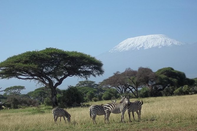 3 Days Red Elephant Safari - Itinerary Highlights