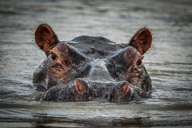 3 Days Safari - Selous Game Reserve - Wildlife Experiences