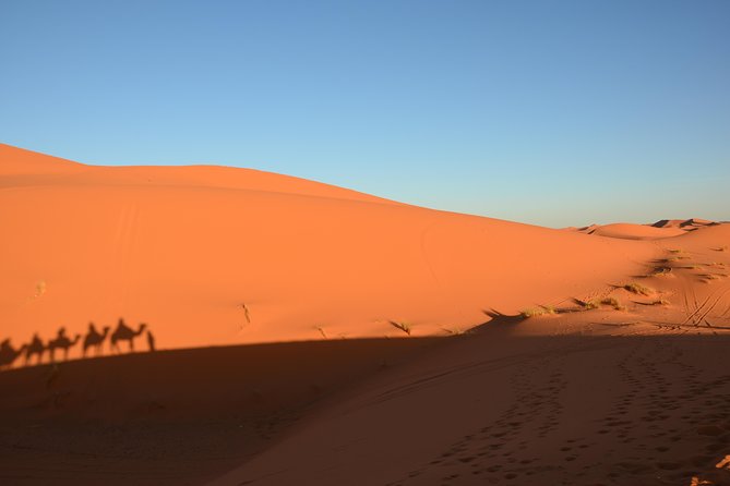 3 Days Safari To Merzouga From Marrakech - Accommodations and Meals