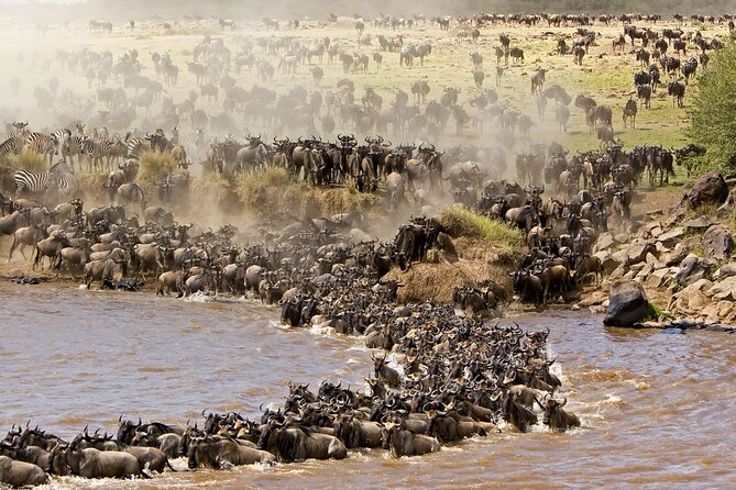3 Days Safari to Tarangire, Ngorongoro and Manyara From Zanzibar - Exclusions of the Tour
