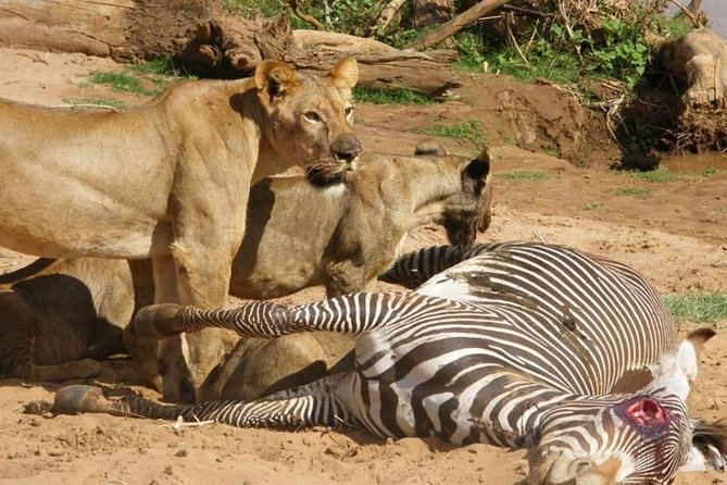 3 Days Selous Game Reserve Fly From Zanzibar - Wildlife Experiences