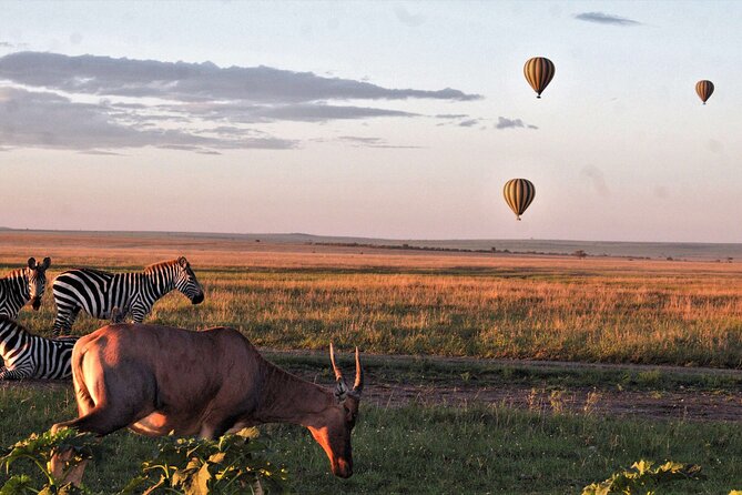 3 Days Serengeti and Ngorongoro Crater Safari From Mwanza to Arusha - Ngorongoro Crater Experience