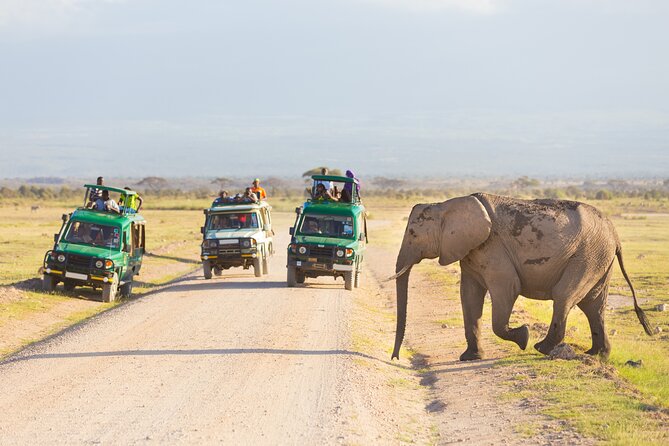 3 Days Tarangire, Manyara & Ngorongoro Budget Lodge Safari Tour Tanzania - Accommodation Options