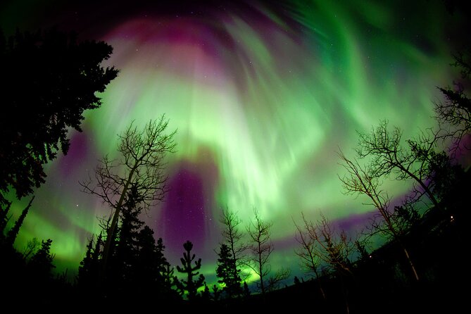 3 Days Tour Fall Color in Yukon From Whitehorse - Included Services