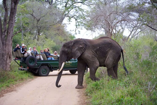 3-Days Ultra Luxury Safari at Kapama River Lodge - Inclusions and Exclusions