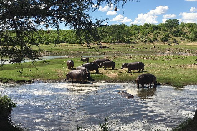 3 Days Unique Safari Selous Game Reserve Tanzania - Itinerary Highlights